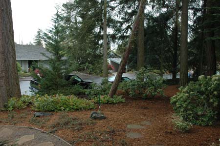 2005-04-15 088